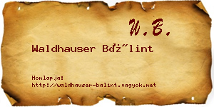 Waldhauser Bálint névjegykártya