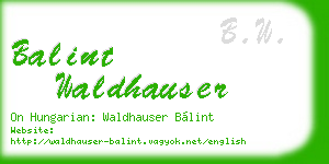 balint waldhauser business card